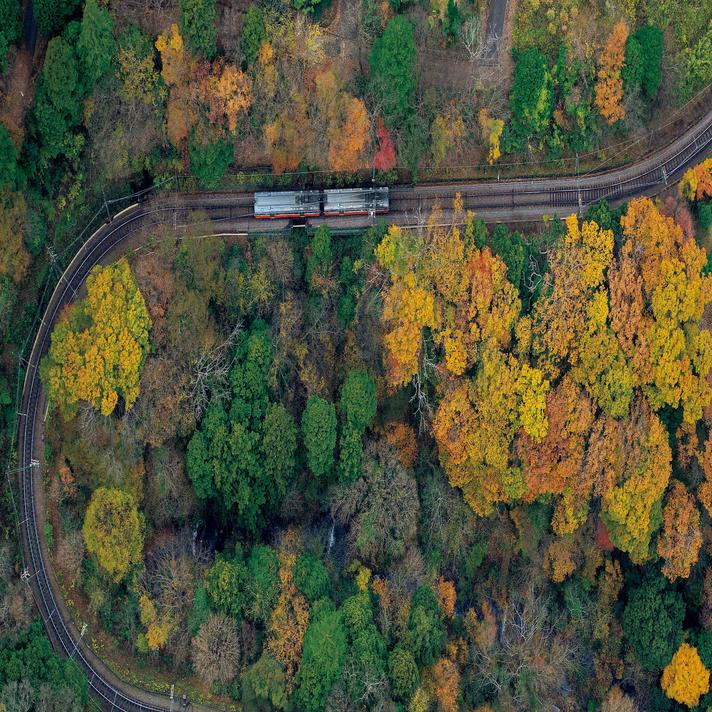 北海道から鹿児島まで！空から見た「鉄道×紅葉」絶景ショット 