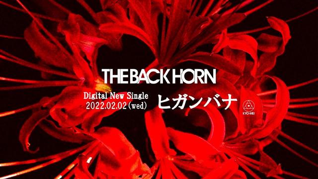 THE BACK HORN、新曲「ヒガンバナ」2/2配信リリース決定。ティーザー映像公開 