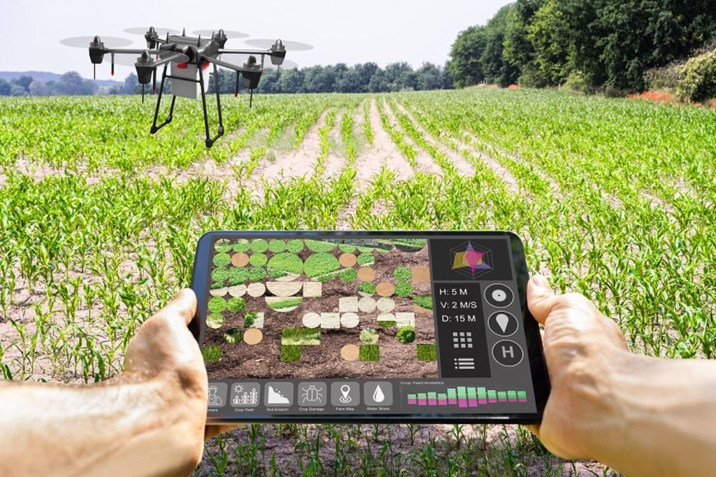 Can drones change the productivity of Japanese rice -making?