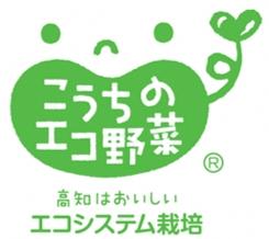 冬は「ナス」「ニラ」！エコ＆先端技術による、おいしく・安全・安心な『高知野菜』 企業リリース 