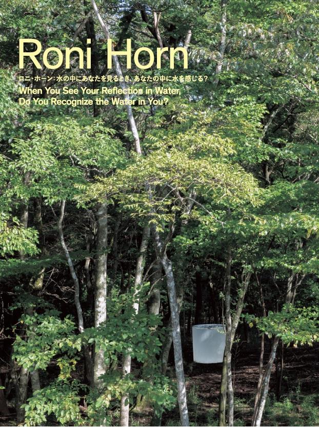 Interview with Roni Horn 