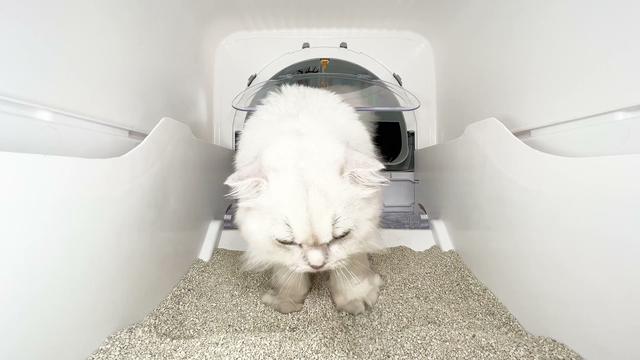 
 電気やシャベルを必要としない猫用トイレ「Peterest（ピーターレスト）」　 臭いなし！環境にやさしい使い捨て専用ボックス 