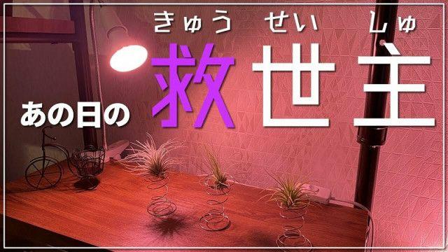 通帳、公共料金明細など進むペーパーレス化　「アナログにお金がかかる」時代へ