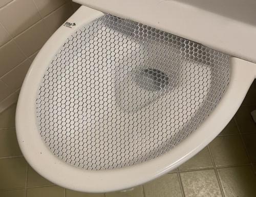 Wire netting on the toilet prevents wireless earphones from falling and has an unexpected effect