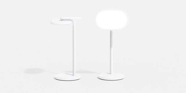 I envy the Google Assistant Lamp limited to the economy and IT Google employees