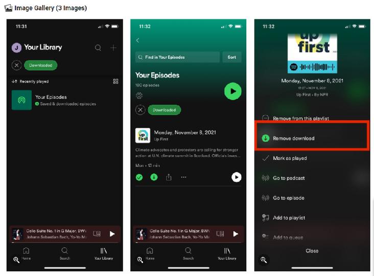 
   iPhoneをロックするとSpotifyがクラッシュする問題を解決する方法 