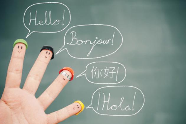 How do you learn a new language in one hour a day?