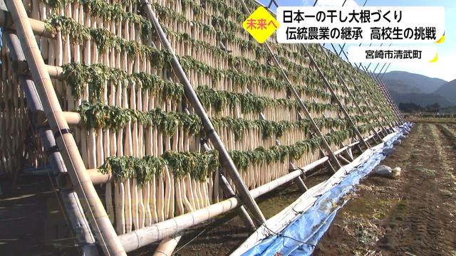 伝統の「干し大根」づくりを高校生が研究　日本農業遺産の認定にも貢献「宮崎すごいんだぞと伝えたい」 