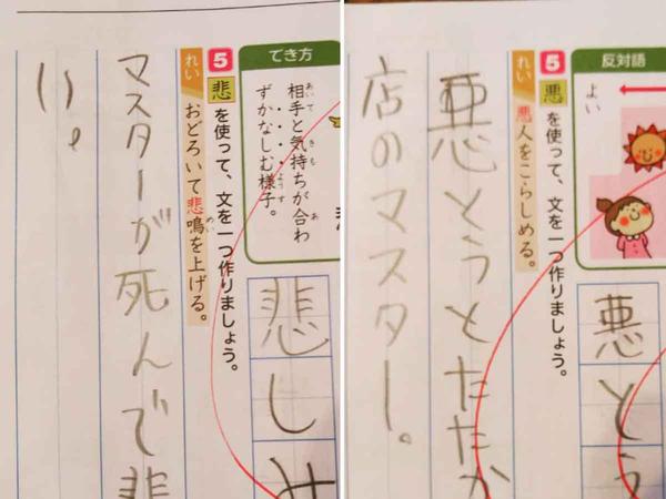 白菜を長持ちさせる方法に「もっと早く知りたかった」「さすがプロ」の声