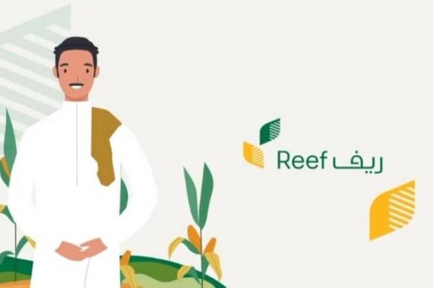 موعد نزول دعم ريف للأسر المنتجة بعد التسجيل بالمملكة العربية السعودية 