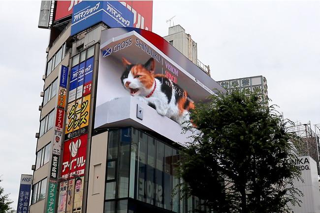 「巨大猫」3D動画が世界に拡散された『クロス新宿ビジョン』。先端の表現手法を駆使する新ビジョンが、7月12日（月）より本放映をスタート。 