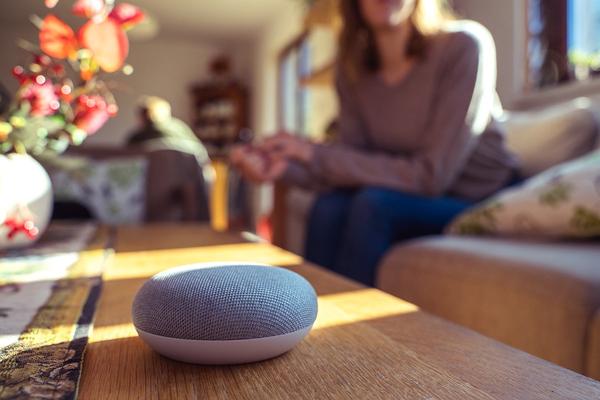 Not only Amazon / Google / Apple, 2021 summer smart speaker attention model