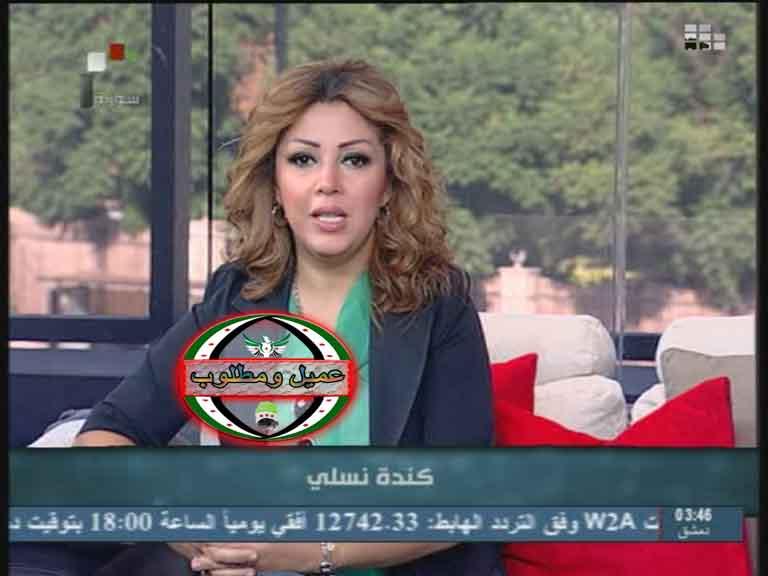 مذيعة سورية شهيرة تظهر فجأة في إيرلندا وتبرر هروبها من نظام أسد 