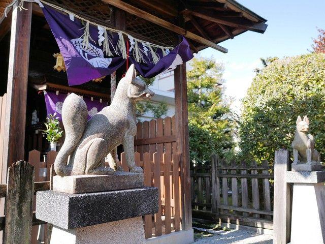 神様の使いを防犯カメラがキャッチ！　製紙工場のお稲荷さんに現れた2匹のキツネ　「何か良いこと起こるかも」