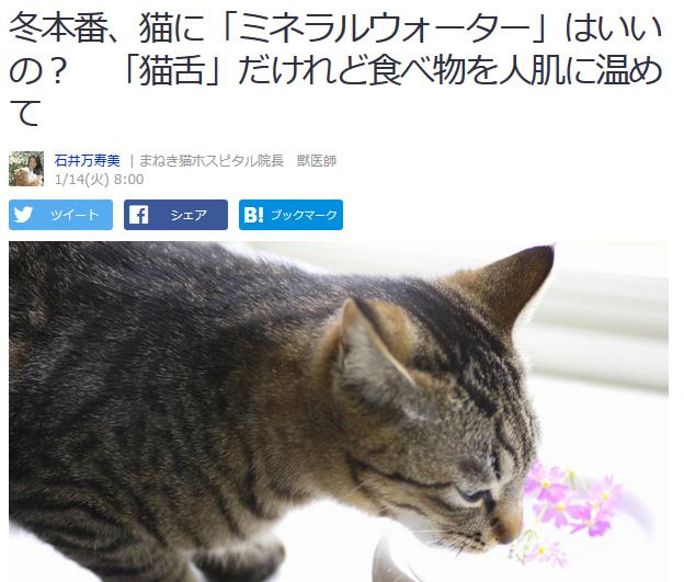 Is "Mineral Water" good for cats in winter?"Cat tongue" but warms food to human skin
