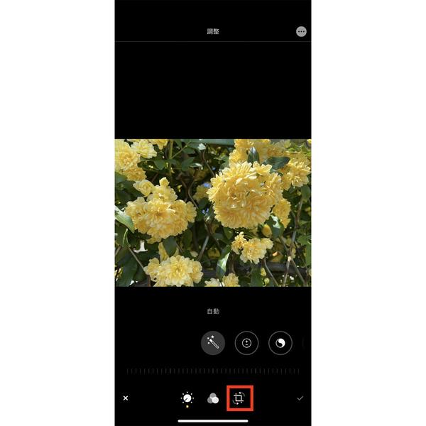 iPhoneで撮った写真を回転させず縦方向に切り取るには? 