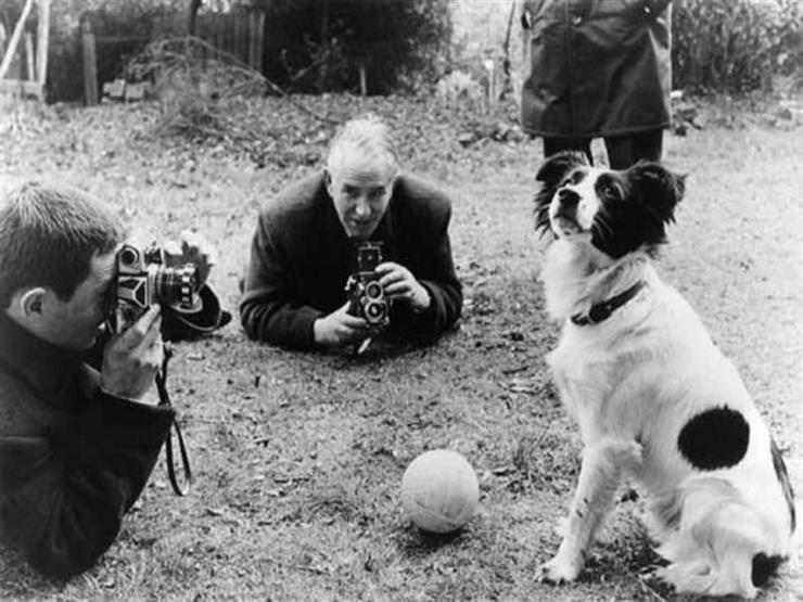 "Pickles"...the most famous dog in the world of football