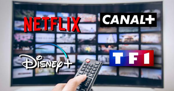 Canal Plus, Netflix, Disney... When will you now be able to see the films after they have been released in cinemas?