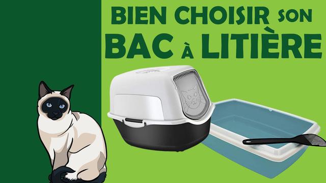 Comment choisir le meilleur bac à litière pour son chat ?