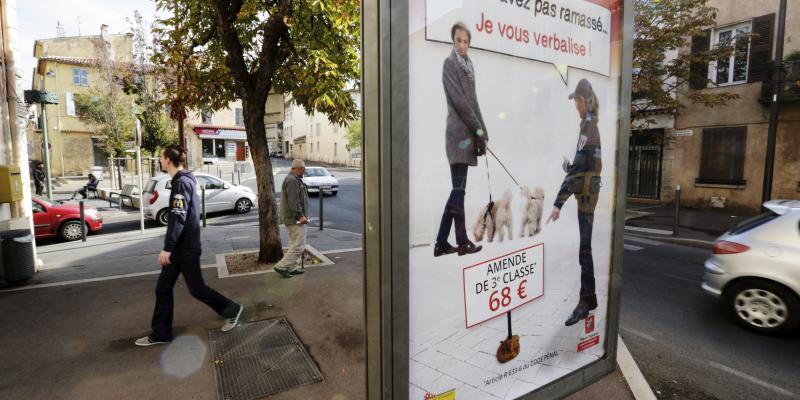 Dunkerque : une ville sans crottes de chien grâce aux distributeurs de sacs ? - La Voix du Nord