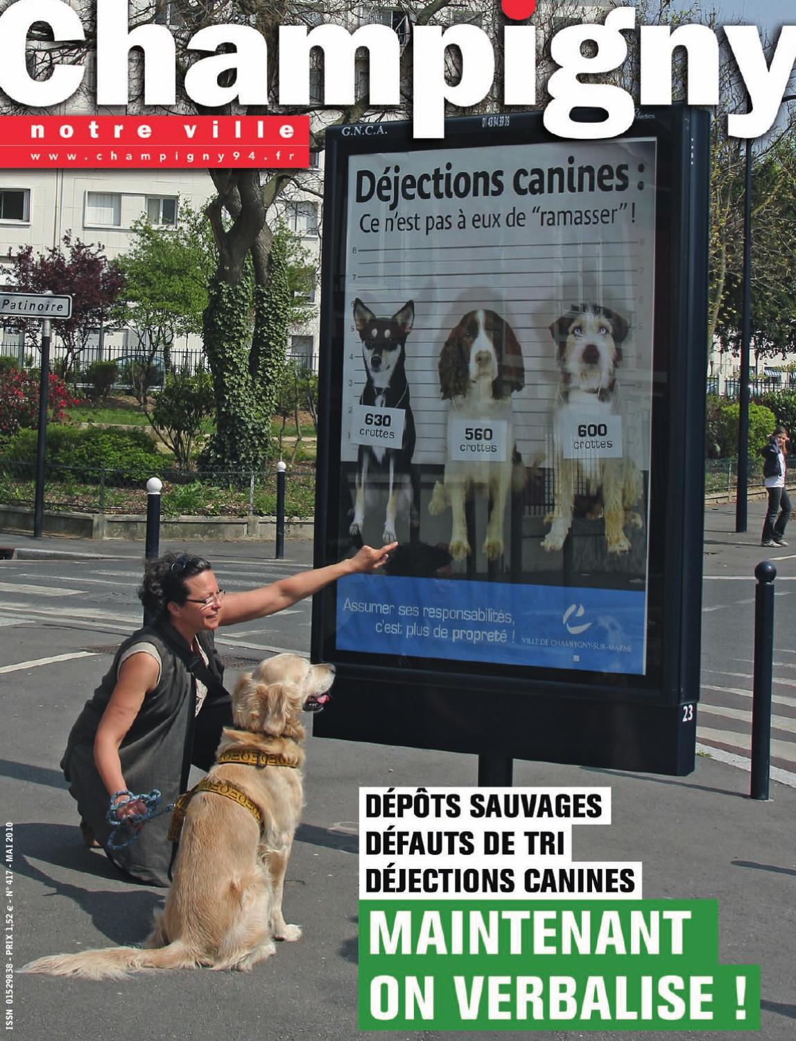 Dunkerque : une ville sans crottes de chien grâce aux distributeurs de sacs ? - La Voix du Nord 