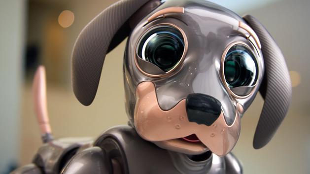 Kia's debe ver Super Bowl Comercial: para Robo Dog, Power is Love