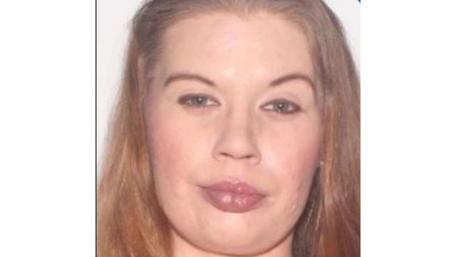 Search underway for missing Elkhart County woman and baby