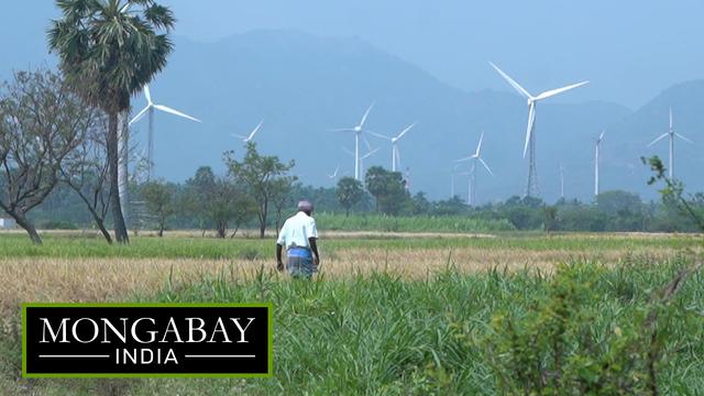 The wind farm paradox in southern Tamil Nadu