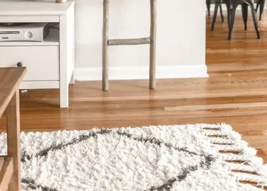 Spring cleaning: our tips for cleaning your carpets!