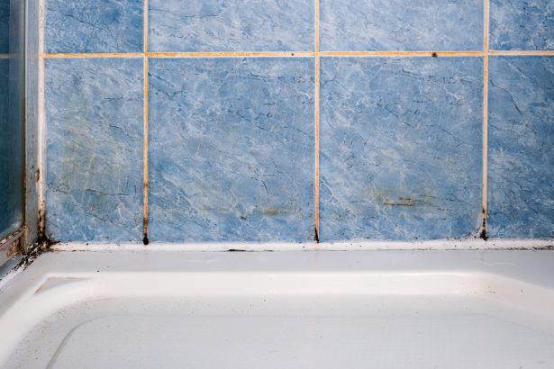 8 astuces pour vous débarrasser des moisissures dans votre salle de bain