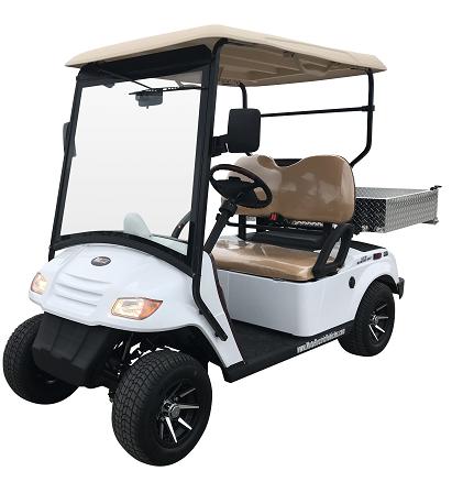 Golf Cart And Neighborhood Electric Vehicle Nev Market Top Players 2029: Bradshaw Electric Vehicles, CitEcar, Dongfeng Motor Group, DY 