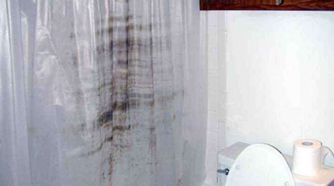 Découvrez l’astuce pour nettoyer un rideau de douche en plastique moisi ! 