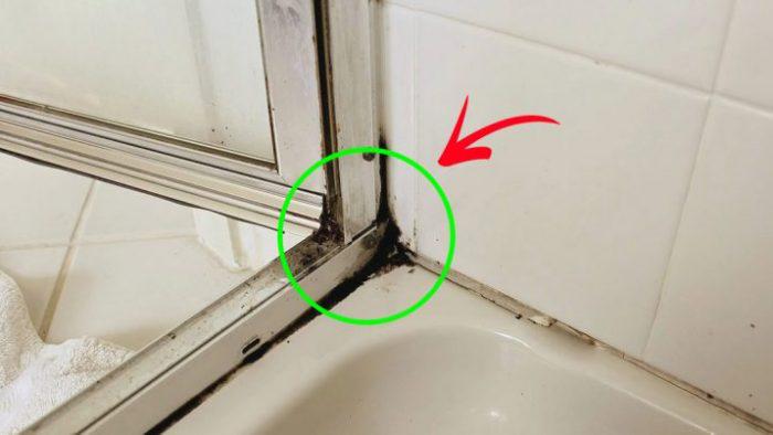 Se débarrasser de la moisissure dans salle de bain – mission possible !