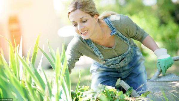 En automne, 12 gestes pour préparer son jardin pour le printemps 