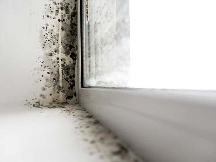 How to fight condensation on your windows during the night?6 quick solutions