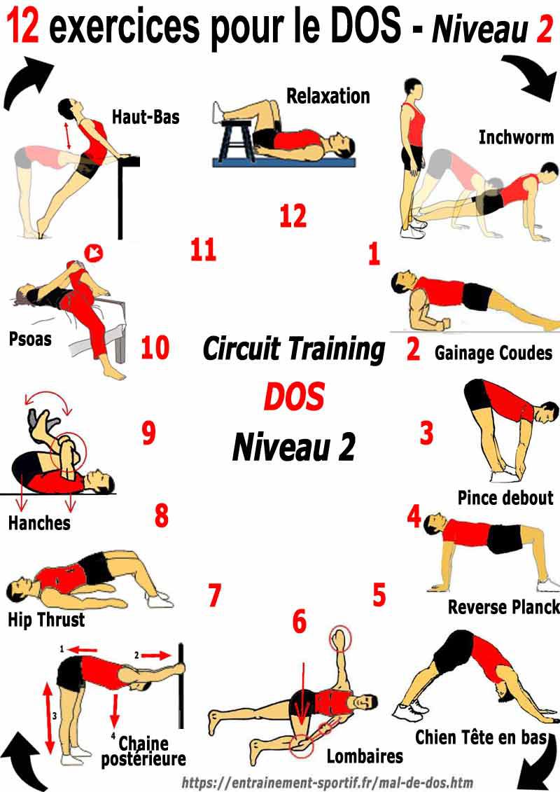 10 exercices pour soulager votre dos