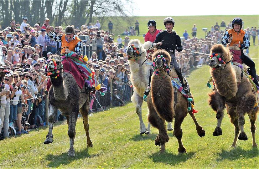 What's on over the Easter Bank Holiday weekend: A 4-day guide to events in West Berkshire and North Hampshire 