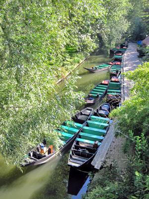 Réserver sa place en ligne dans les barques des hortillonnages à Amiens : c’est enfin possible 