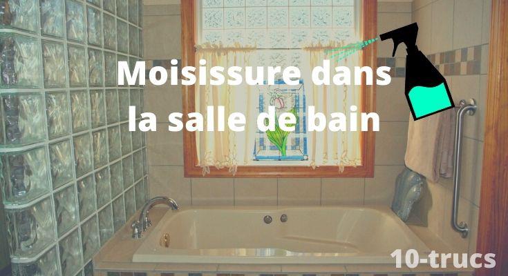 Comment éviter la moisissure dans une salle de bain sans fenêtres en remédiant à l’humidité? 