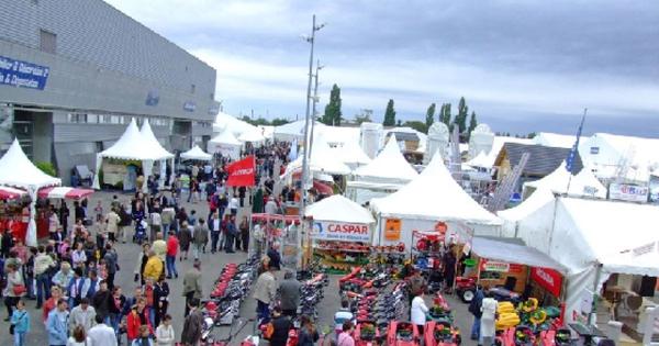 Parc-Expo [DIAPORAMA] Foir'Expo de Mulhouse : Les tapissiers plantent le décor à Déco'Folie