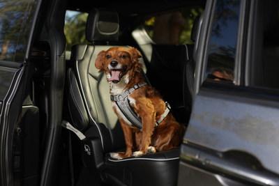 O lar de um animal de estimação longe de casa: Chrysler destaca as características que amigam os animais de estimação da Chrysler Pacifica para marcar o Dia Nacional do animal de estimação