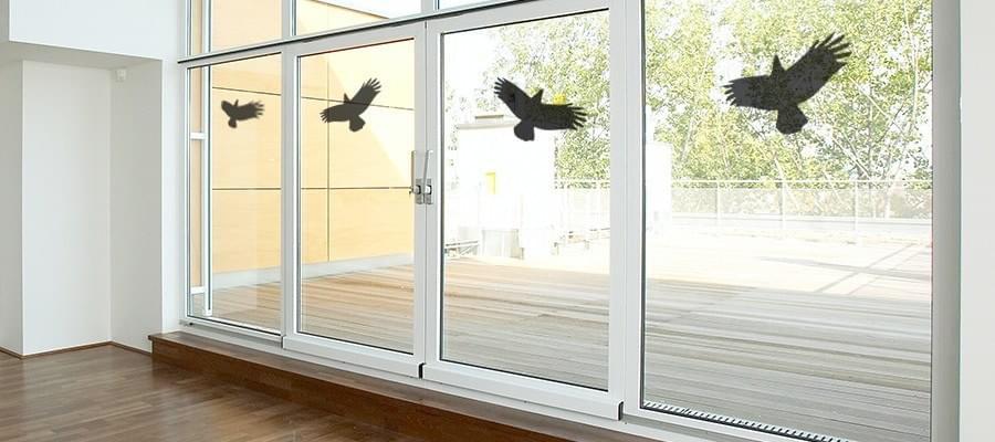 How to prevent birds from crashing into your windows 
