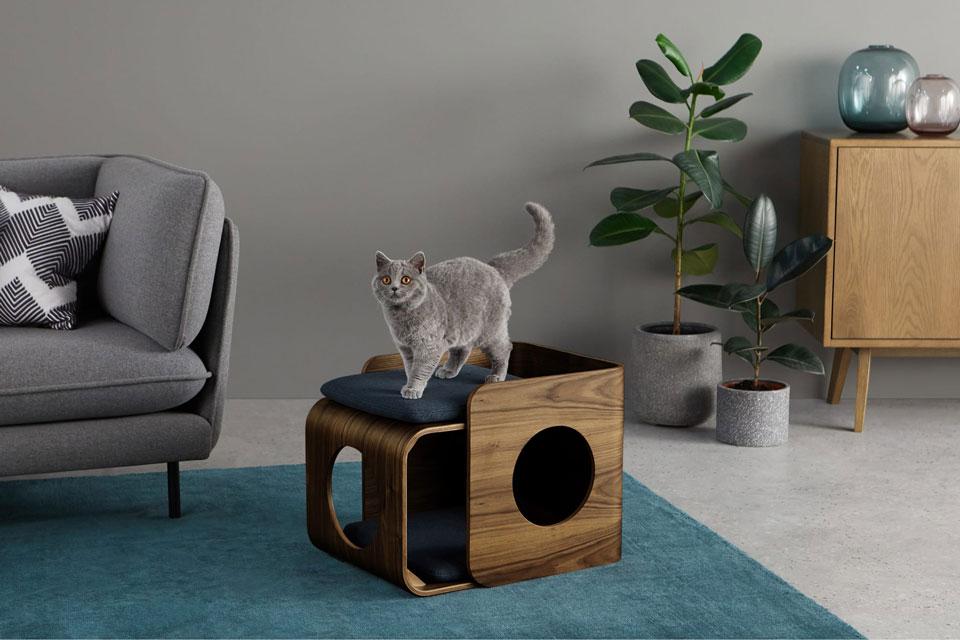 Coussins pour chat : les plus design pour votre intérieur 