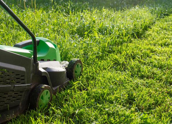 Que faire ou ne pas faire pour avoir un gazon parfait ? Quelles sont les erreurs d’entretien de la pelouse de printemps à éviter ?