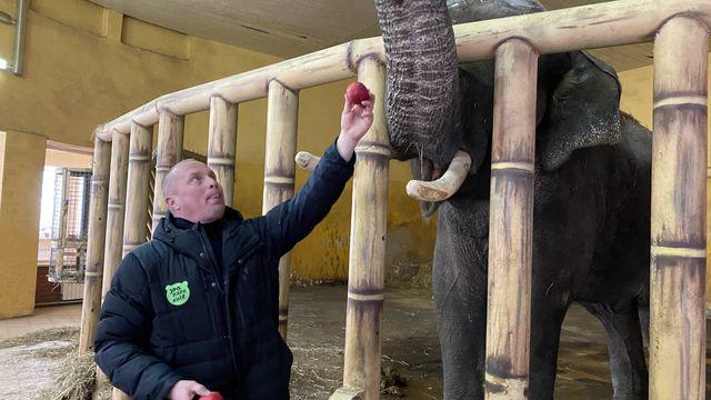 «Ici, c'est un refuge pour tout le monde»: au zoo de Kiev, hommes et animaux restent ensemble