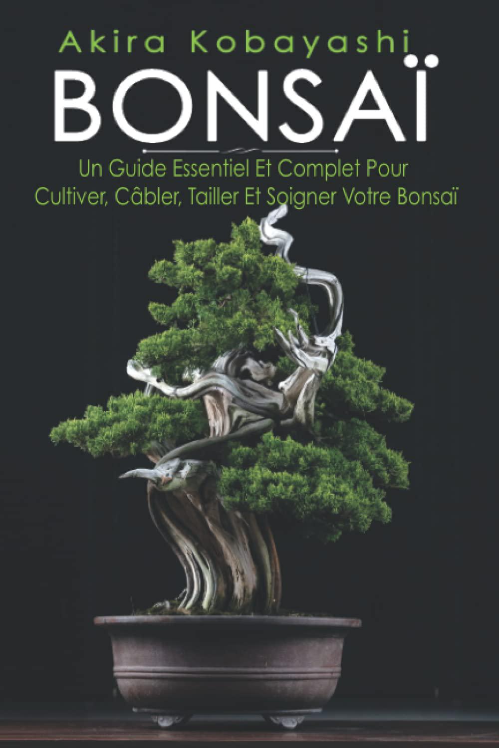 Comment entretenir un bonsaï – un guide complet 