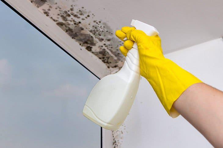 Comment nettoyer la moisissure du plafond ? 7 étapes simples et efficaces 
