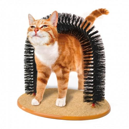 Accessoires Chat : les meilleurs produits pour votre animal de compagnie 