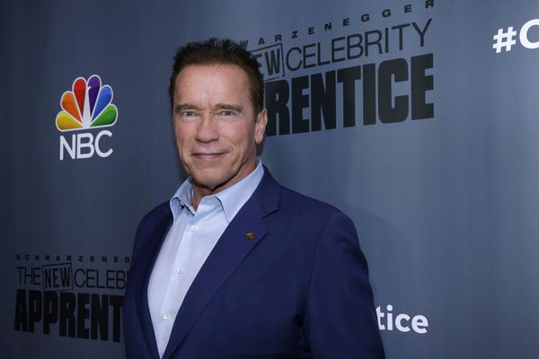 And the 'New Celebrity Apprentice' catchphrase is ... 