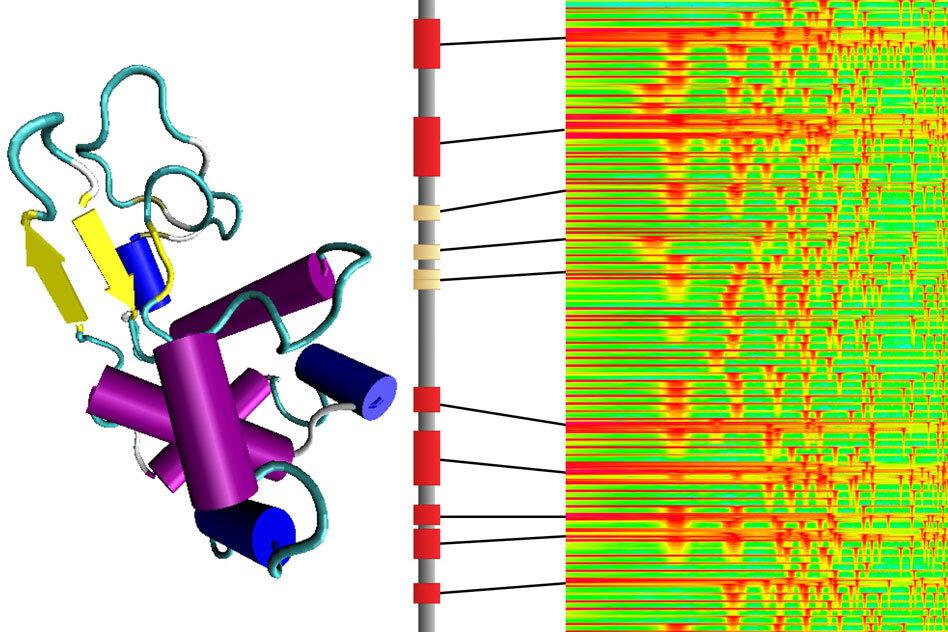 Why Scientists Are Turning Molecules Into Music 